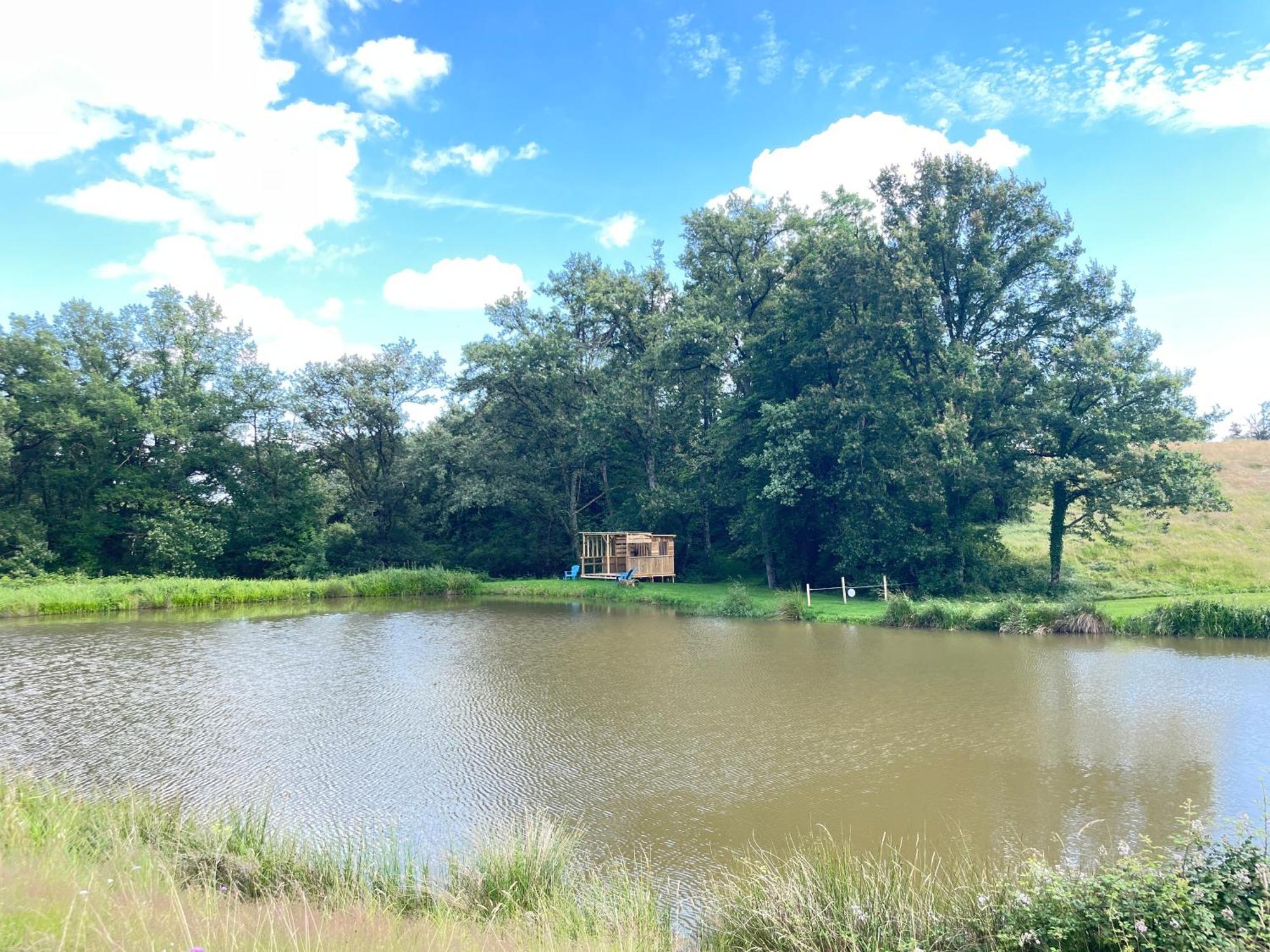 Gite Neuf Avec Jardin, Foret Et Etang アルジャントン・シュル・クルーズ エクステリア 写真