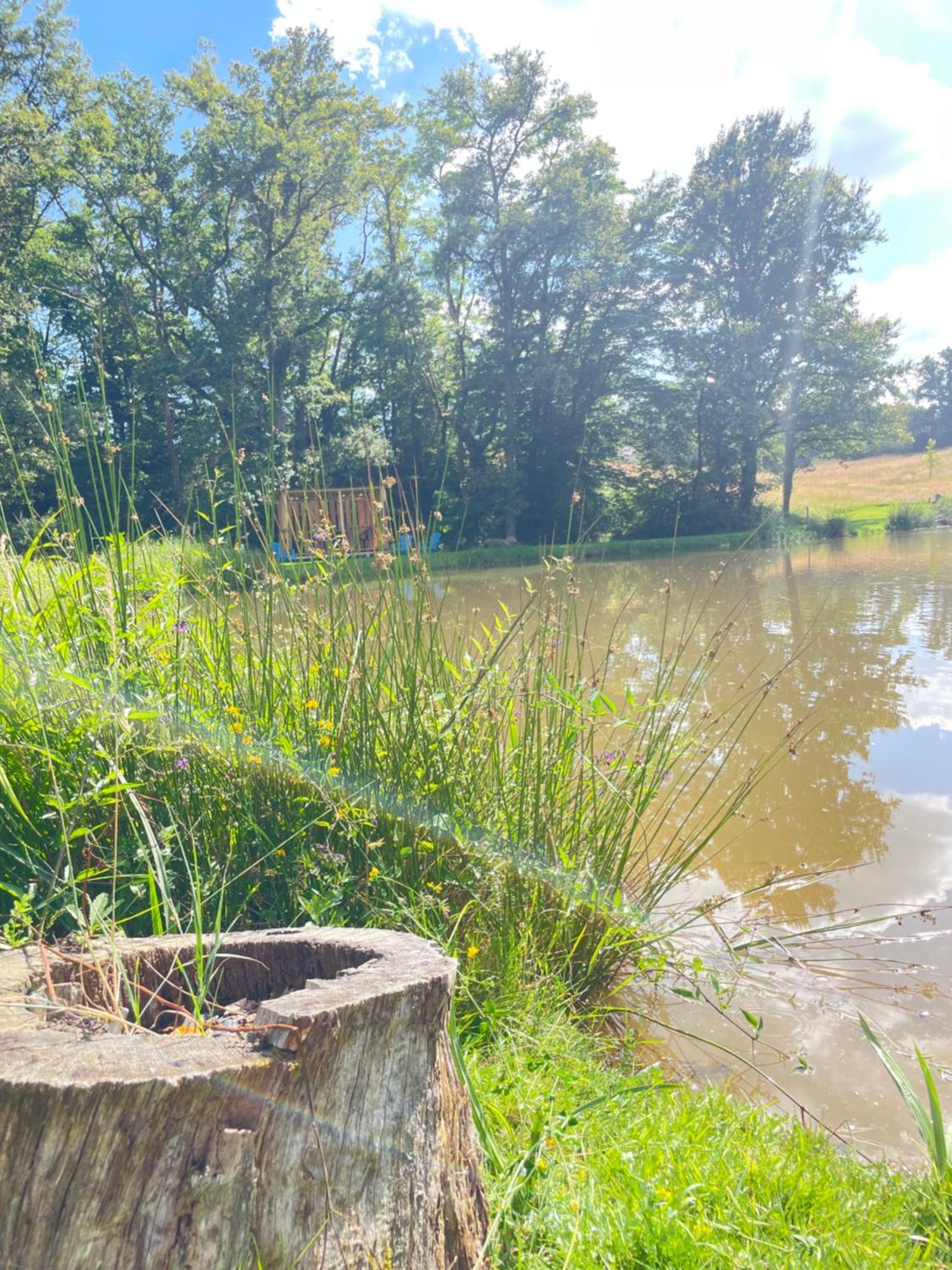 Gite Neuf Avec Jardin, Foret Et Etang アルジャントン・シュル・クルーズ エクステリア 写真